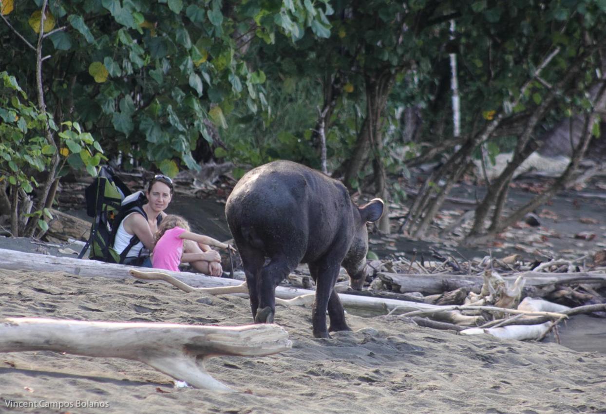 Tapirus Playa Apartamento Drakes Bay Exterior foto